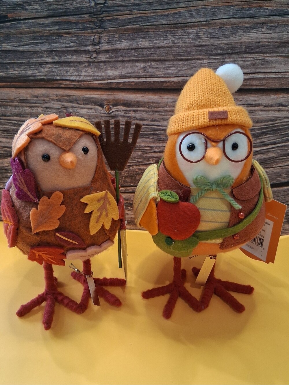 Target 2026 Hyde & EeK! CIDER & RAKER Harvest / Fall Featherly Friends